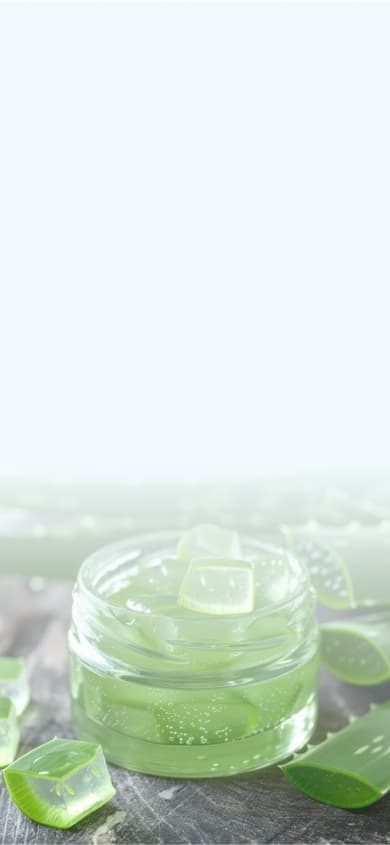 Aloe ingredient banner