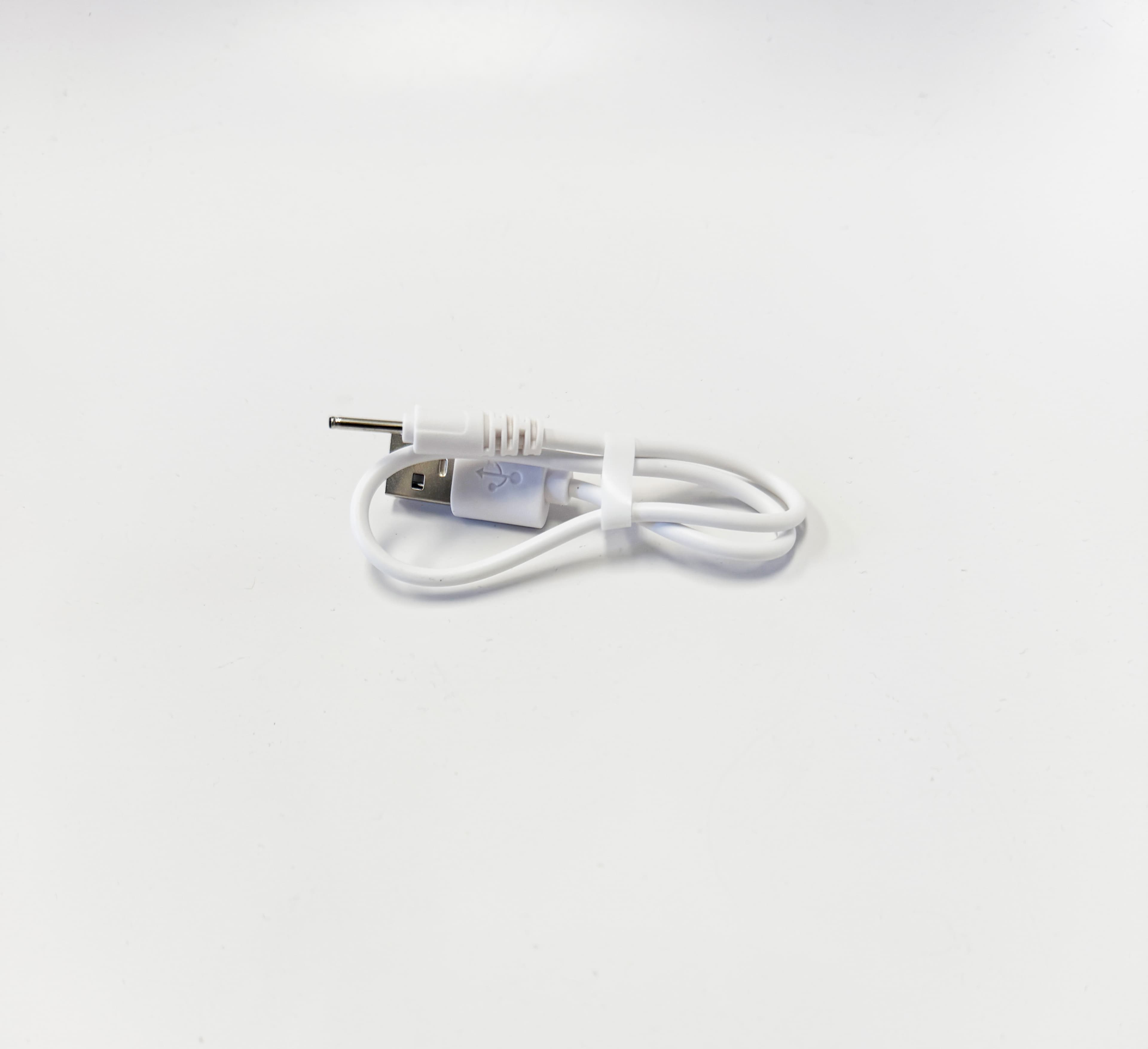 PureSkin Cleansing Brush Charger