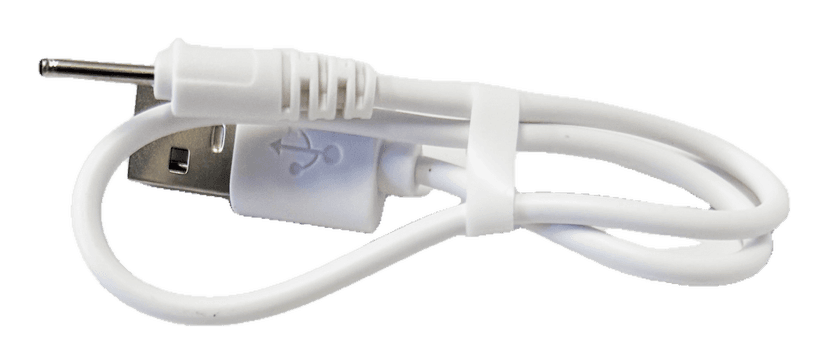 PureSkin Cleansing Brush Charger